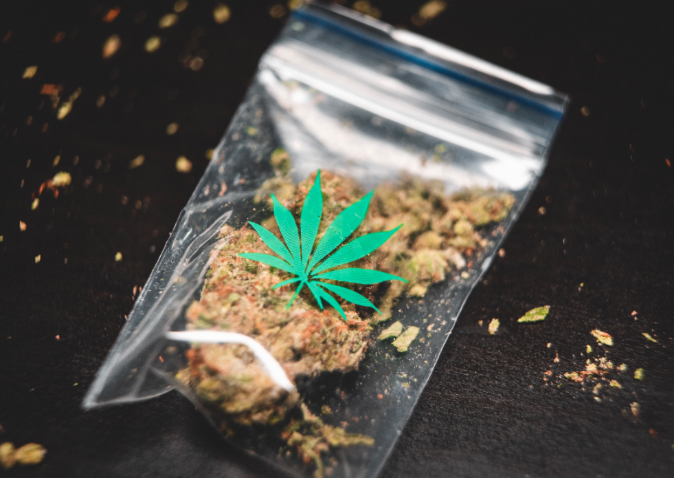 Torebka z marihuaną na stole